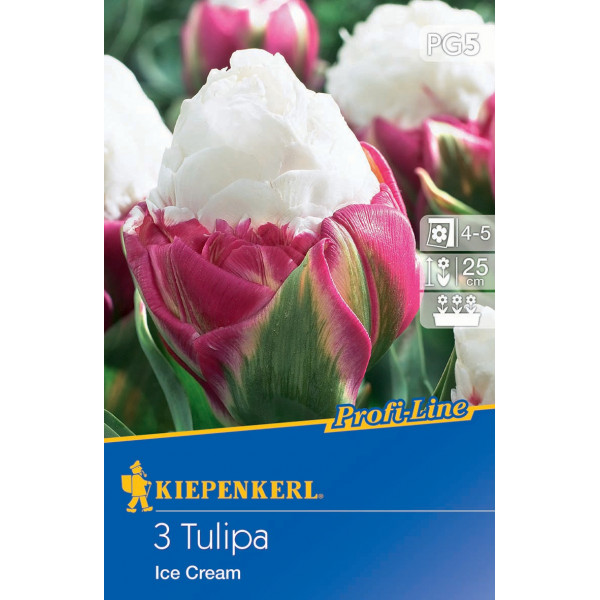 Tulipány Ice Cream