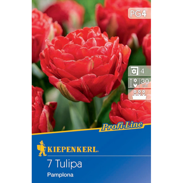 Tulipány Pamplona