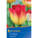 Tulipány Suncatcher