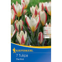 Tulipány The First