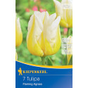 Tulipány Flaming Agrass