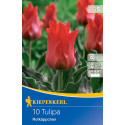 Tulipány Rotkappchen