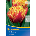 Tulipány Golddust