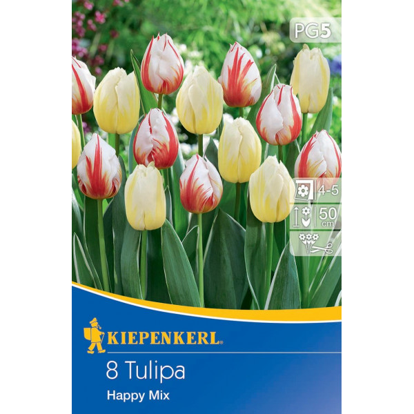 Tulipány Happy viacfarebná zmes