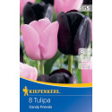 Tulipány Candy Friends