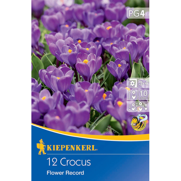 Krokus Flower Record