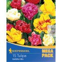 Mega Pack Tulipány viacfarebná zmes