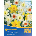 Mega Pack Narcisy Giant Crown viacfarebná zmes