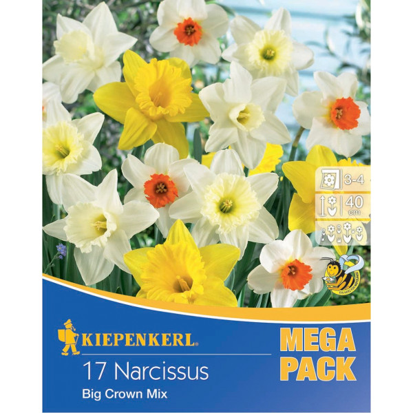 Mega Pack Narcisy Giant Crown viacfarebná zmes