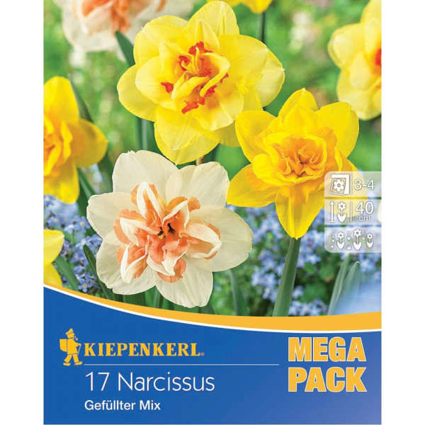 Mega Pack Narcisy Double viacfarebná zmes