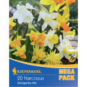 Mega Pack Narcisy Rock Garden viacfarebná zmes