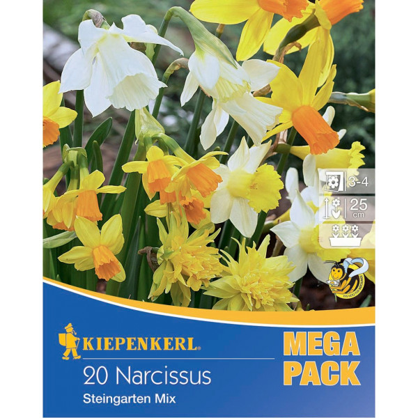 Mega Pack Narcisy Rock Garden viacfarebná zmes