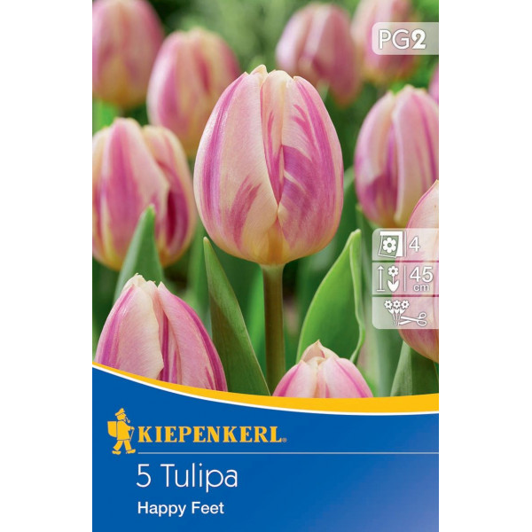 Tulipány Happy Feet