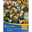 Mega Pack Krokus Freaky Spring viacfarebná zmes