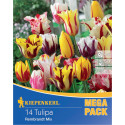 Mega Pack Tulipány Rembrandt viacfarebná zmes