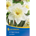 Narcisy Ice Follies