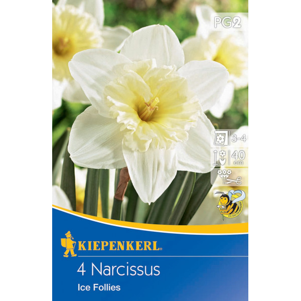 Narcisy Ice Follies