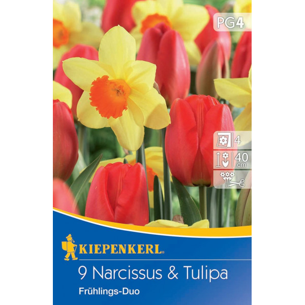 Narcisy a tulipány Spring Duo viacfarebná zmes