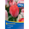 Tulipány Van Eijk