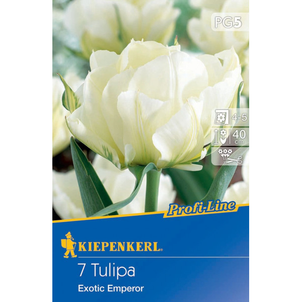 Tulipány Exotic Emperor