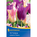 Tulipány Landlicher Charme