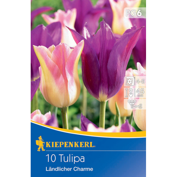 Tulipány Landlicher Charme