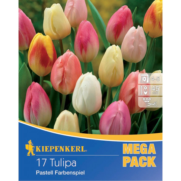 Mega Pack Pastell viacfarebná zmes