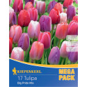 Mega Pack Tulipány Big Pride viacfarebná zmes