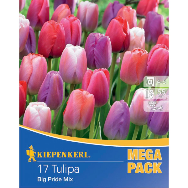 Mega Pack Tulipány Big Pride viacfarebná zmes