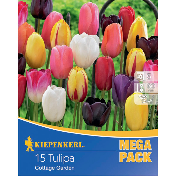 Mega Pack Tulipány Cottage viacfarebná zmes