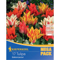 Mega Pack Tulipány Balcony Magic viacfarebná zmes