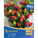 Mega Pack For You viacfarebná zmes