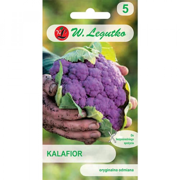 Karfiol di Sicilia Violetto