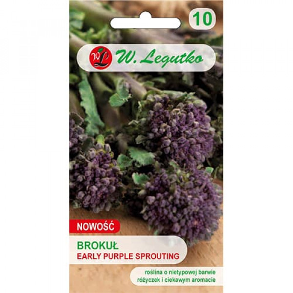 Brokolica Early Purple