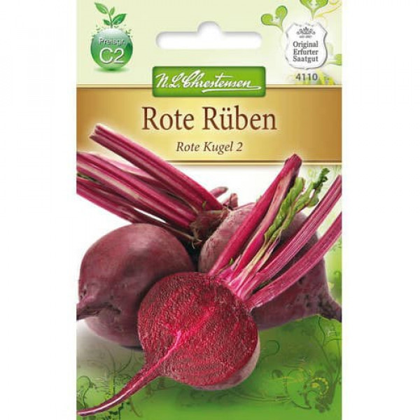 Cvikla Rote Kugel 2