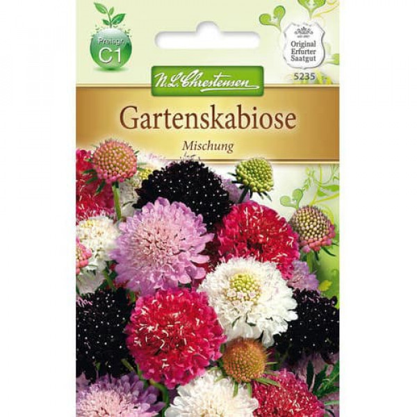 Scabiosa, mix viacfarebný