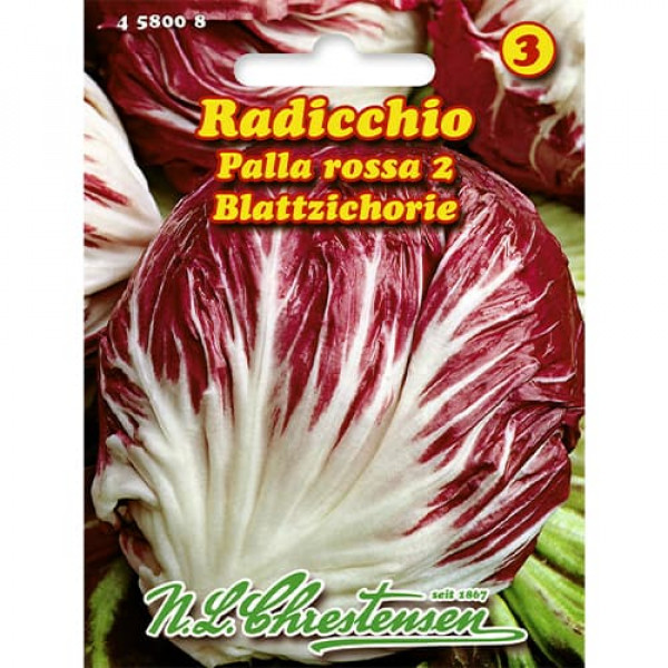 Čakanka červená (radicchio) Palla Rossa 2