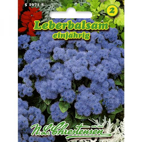 Agerát mexický (Ageratum)