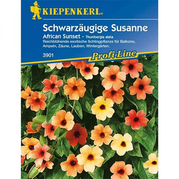 Tunbergia Susanne African Sunset