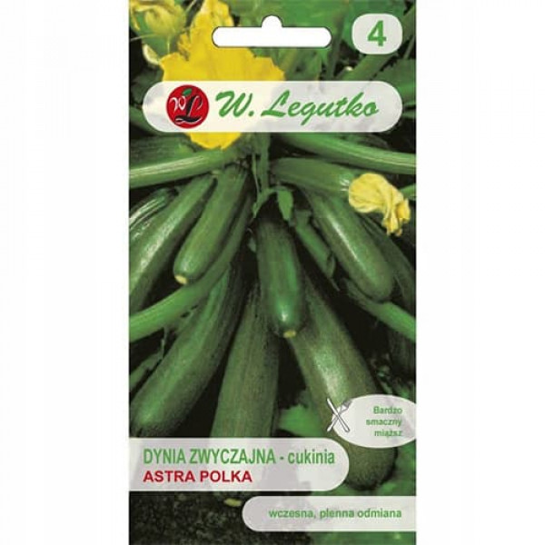 Tekvica zucchini (Jedlé kvety)