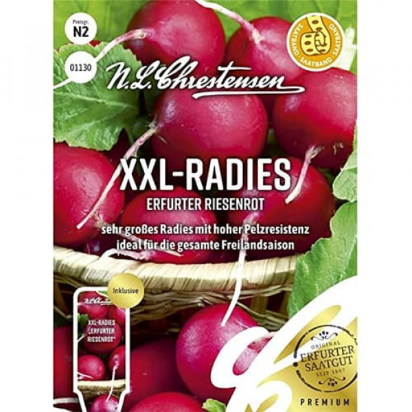 Reďkovka Red Giant XXL