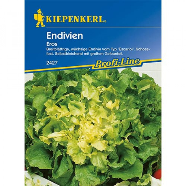 Endive Eros