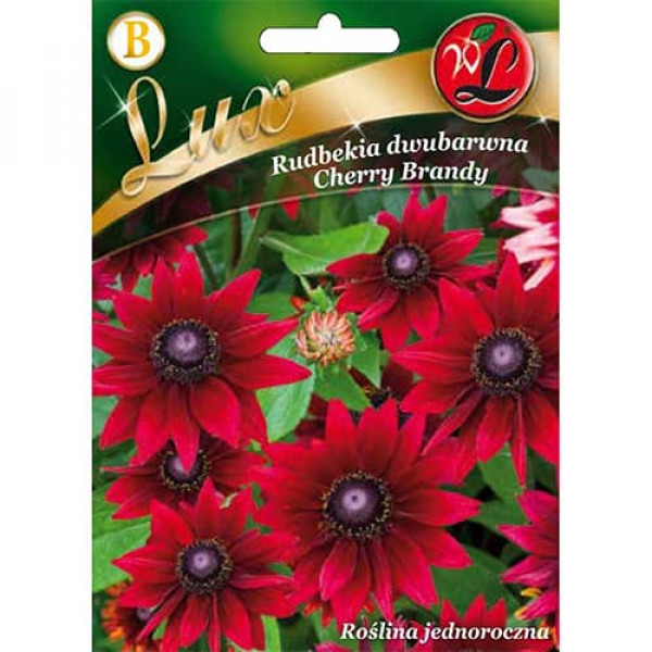 Rudbekia Cherry Brandy