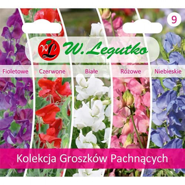 Kolekcia lathyrus odoratus, balenie 5 odrôd